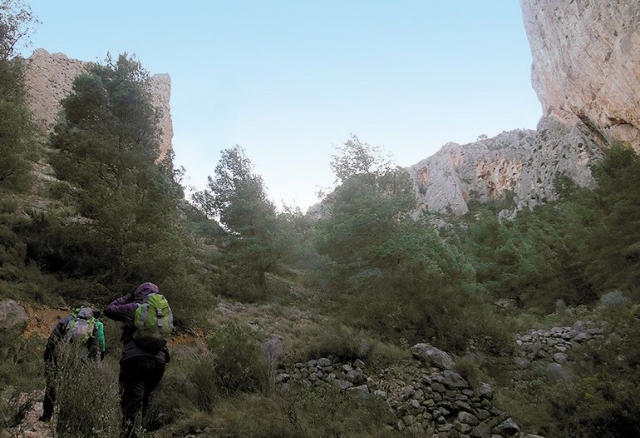  Percorsi tra rocce e alberi 